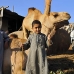 market_camel_embaba_cai_v_0057_egy0320.jpg